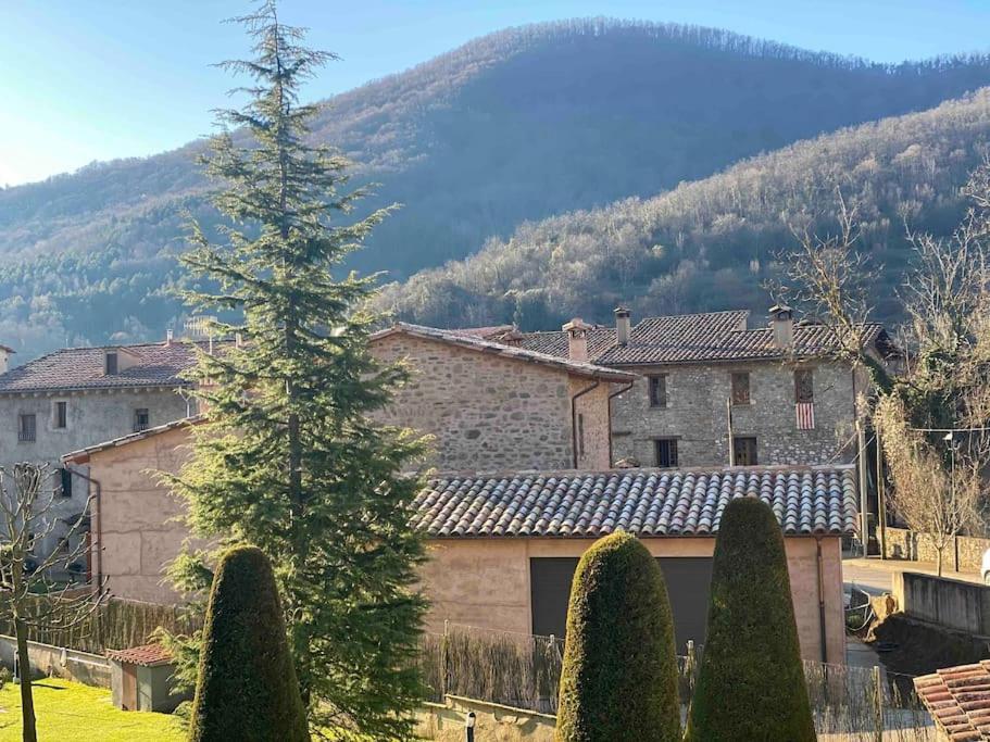 Riudaura Villa Exterior photo